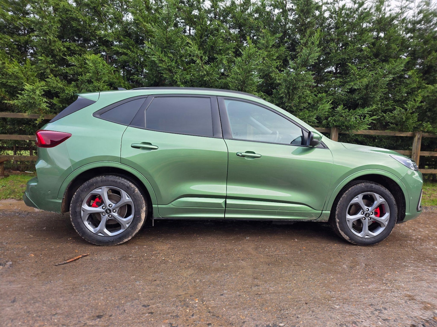 Used Ford Kuga 2024 for sale - 77524641: Photo 9