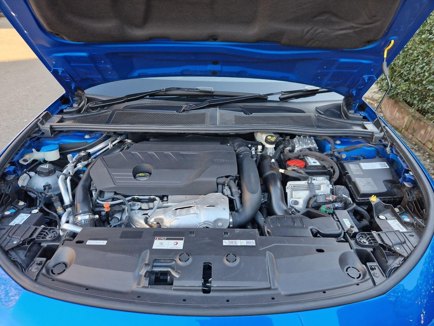 Used Peugeot 308 2022 for sale - 76850196: Photo 21