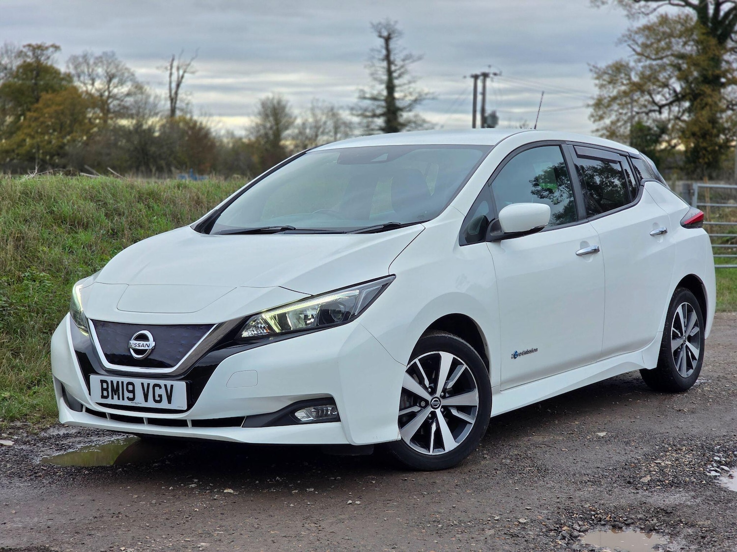 Used Nissan Leaf 2019 for sale - 76645288: Photo 1