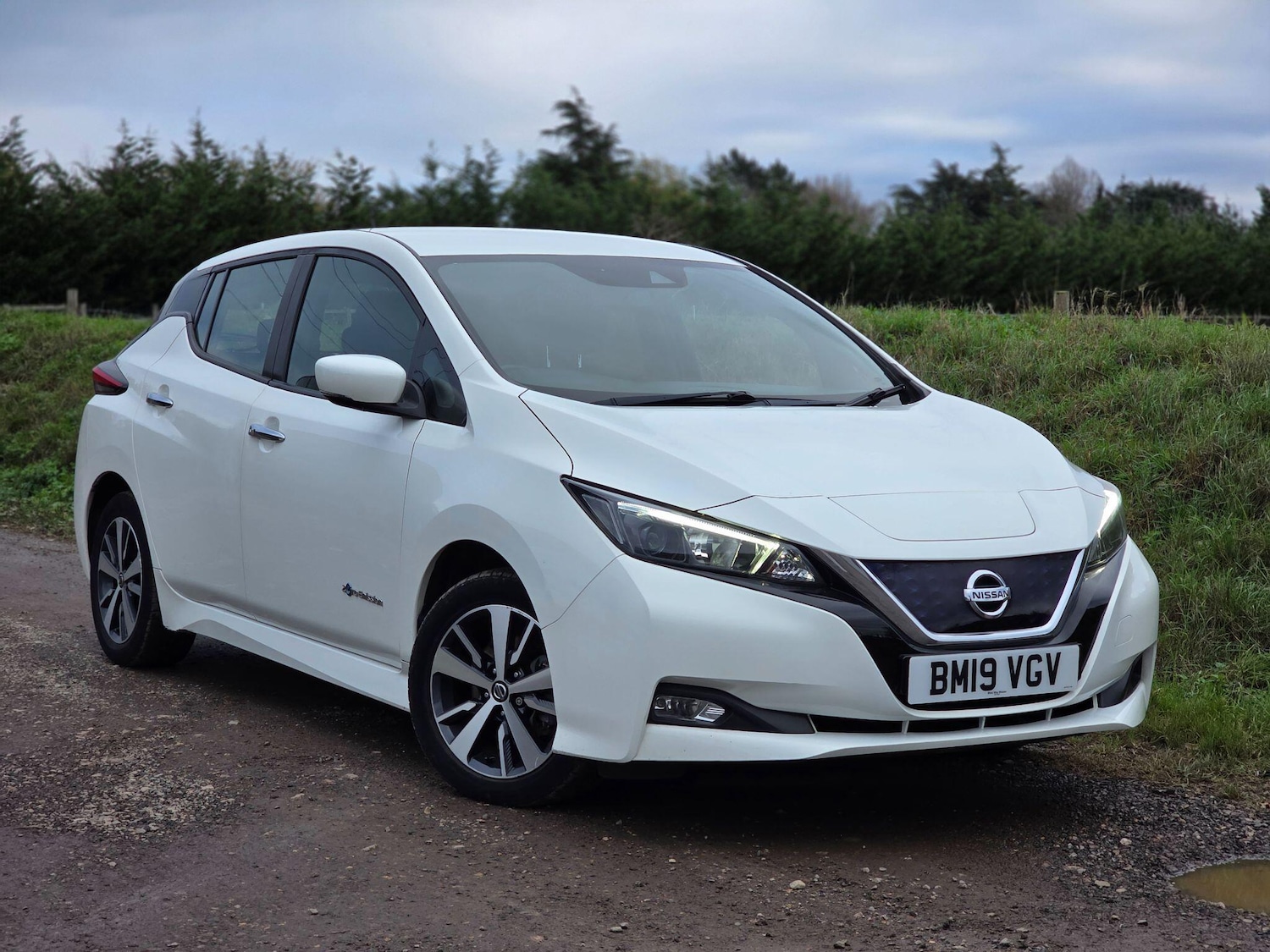 Used Nissan Leaf 2019 for sale - 76645288: Photo 2