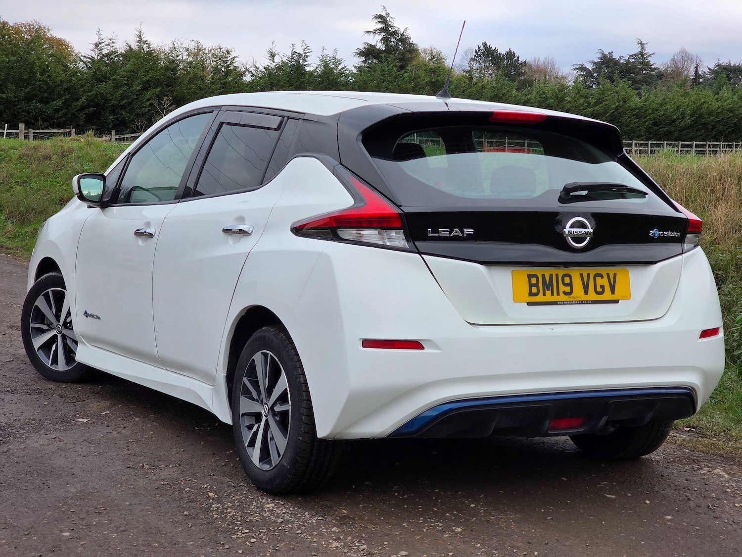 Used Nissan Leaf 2019 for sale - 76645288: Photo 4