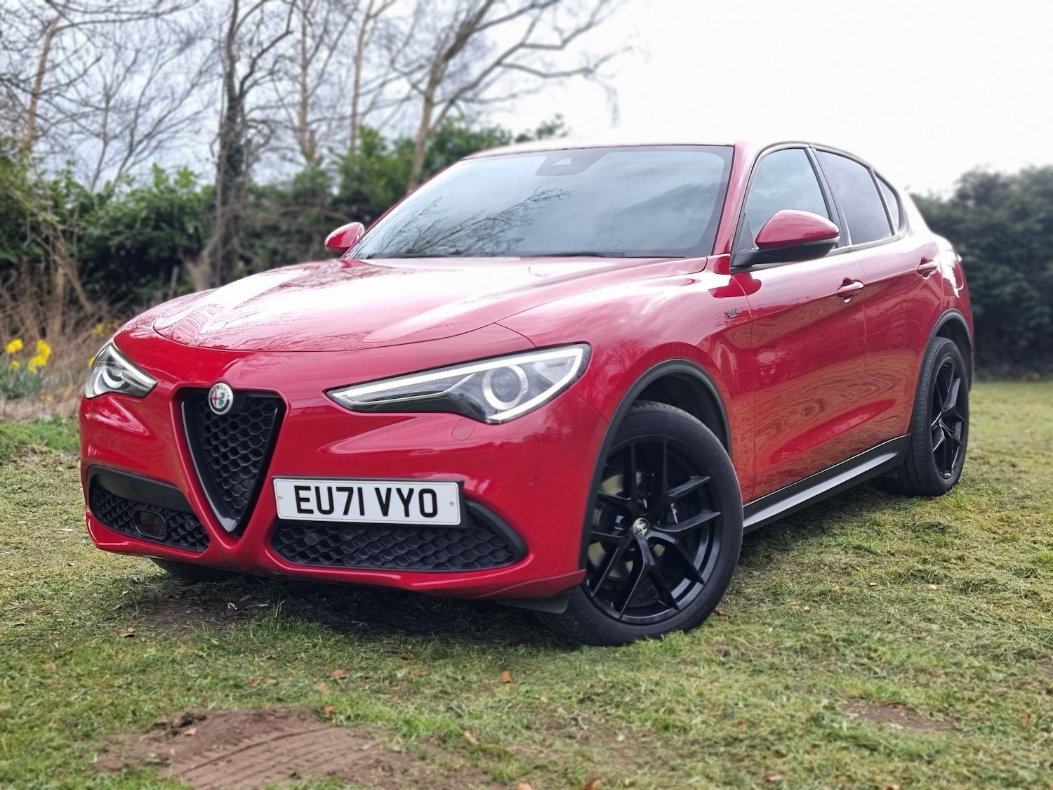 Used Alfa Romeo Stelvio 2021 for sale - 76425842: Photo 1