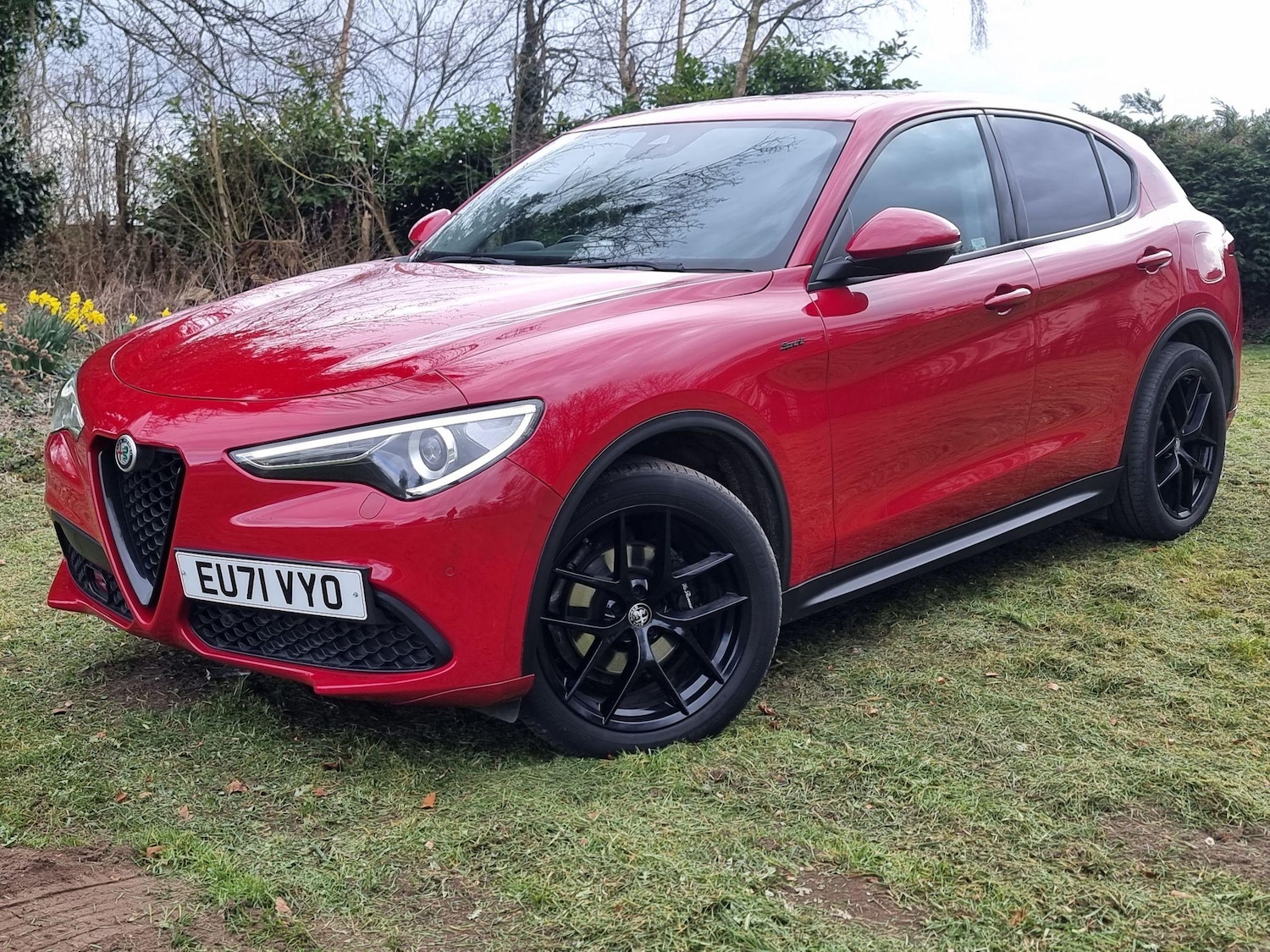 Used Alfa Romeo Stelvio 2021 for sale - 76425842: Photo 9