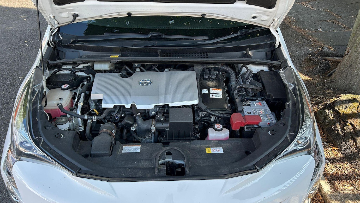 Vehicle 10