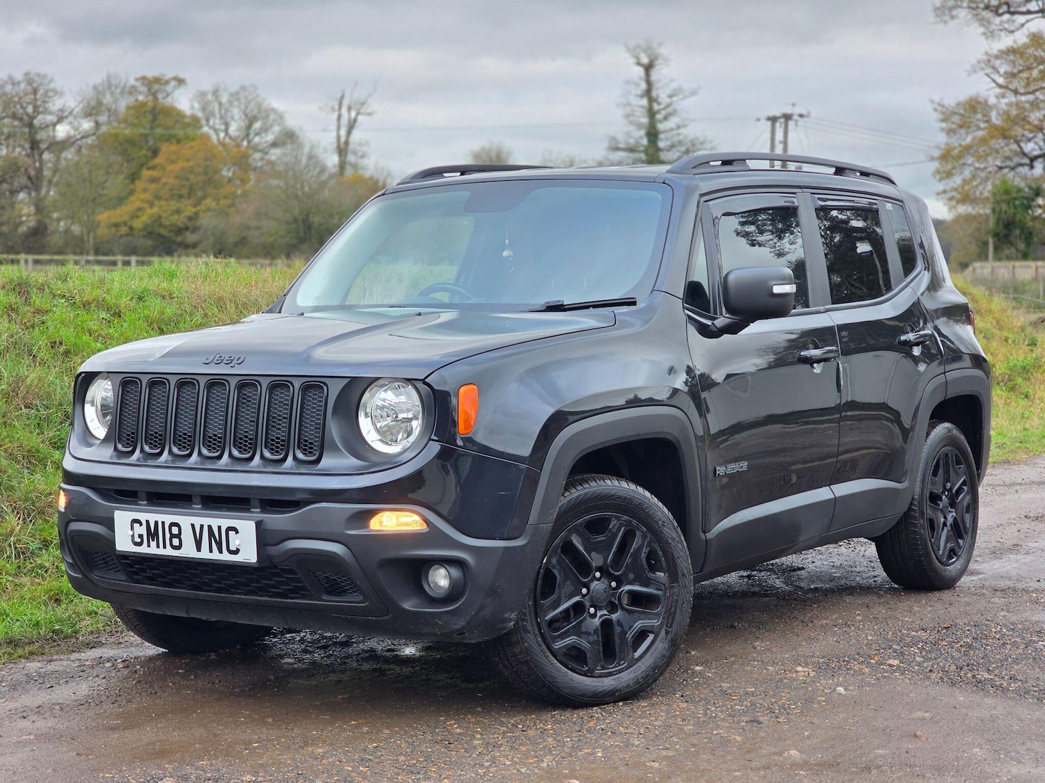 Used Jeep Renegade 2018 for sale - 76688762: Photo 1