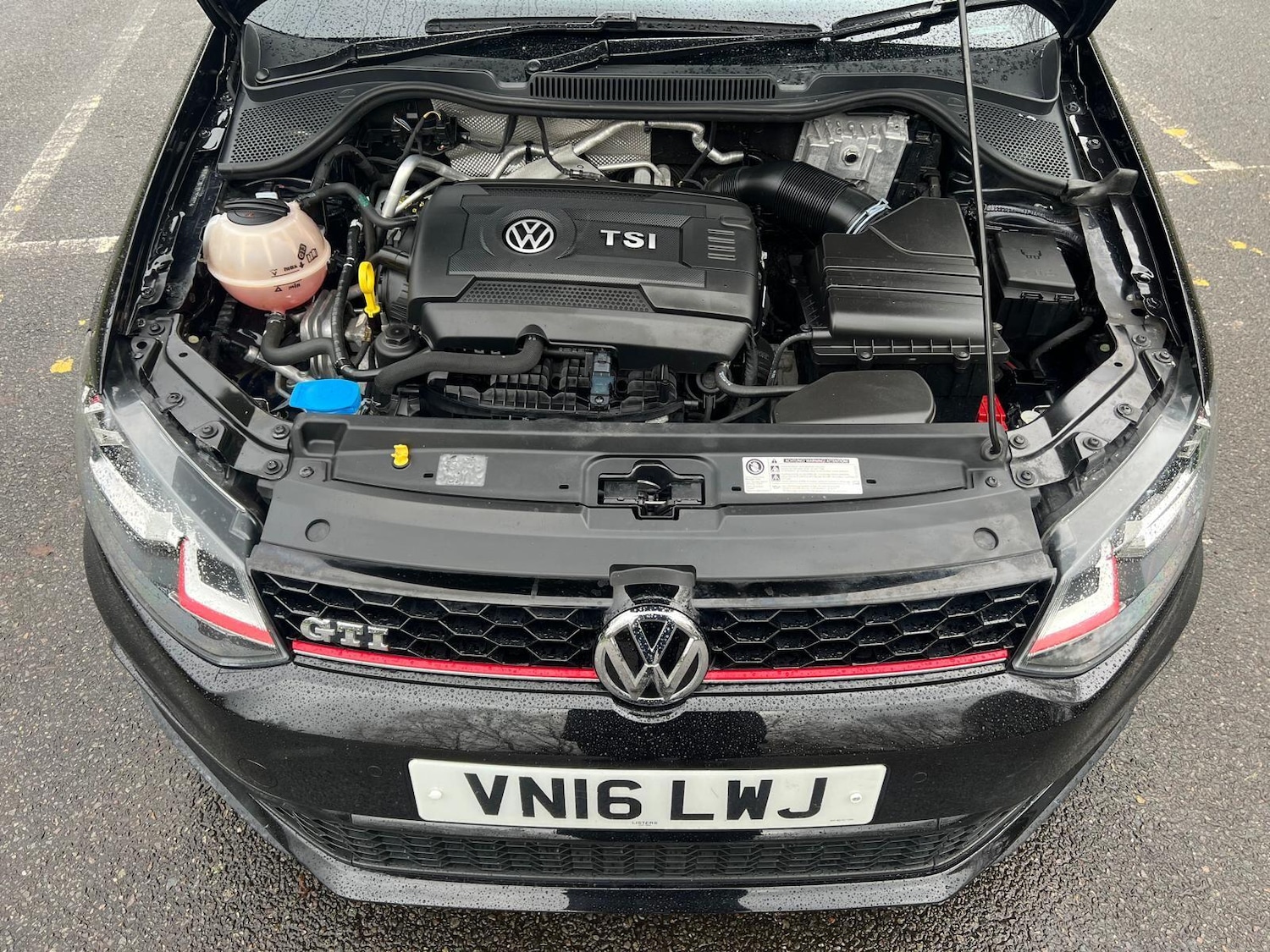 Used Volkswagen Polo 2016 for sale - 77523687: Photo 29