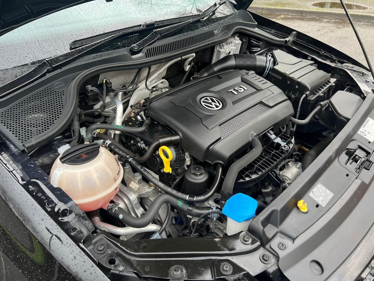 Used Volkswagen Polo 2016 for sale - 77523687: Photo 30