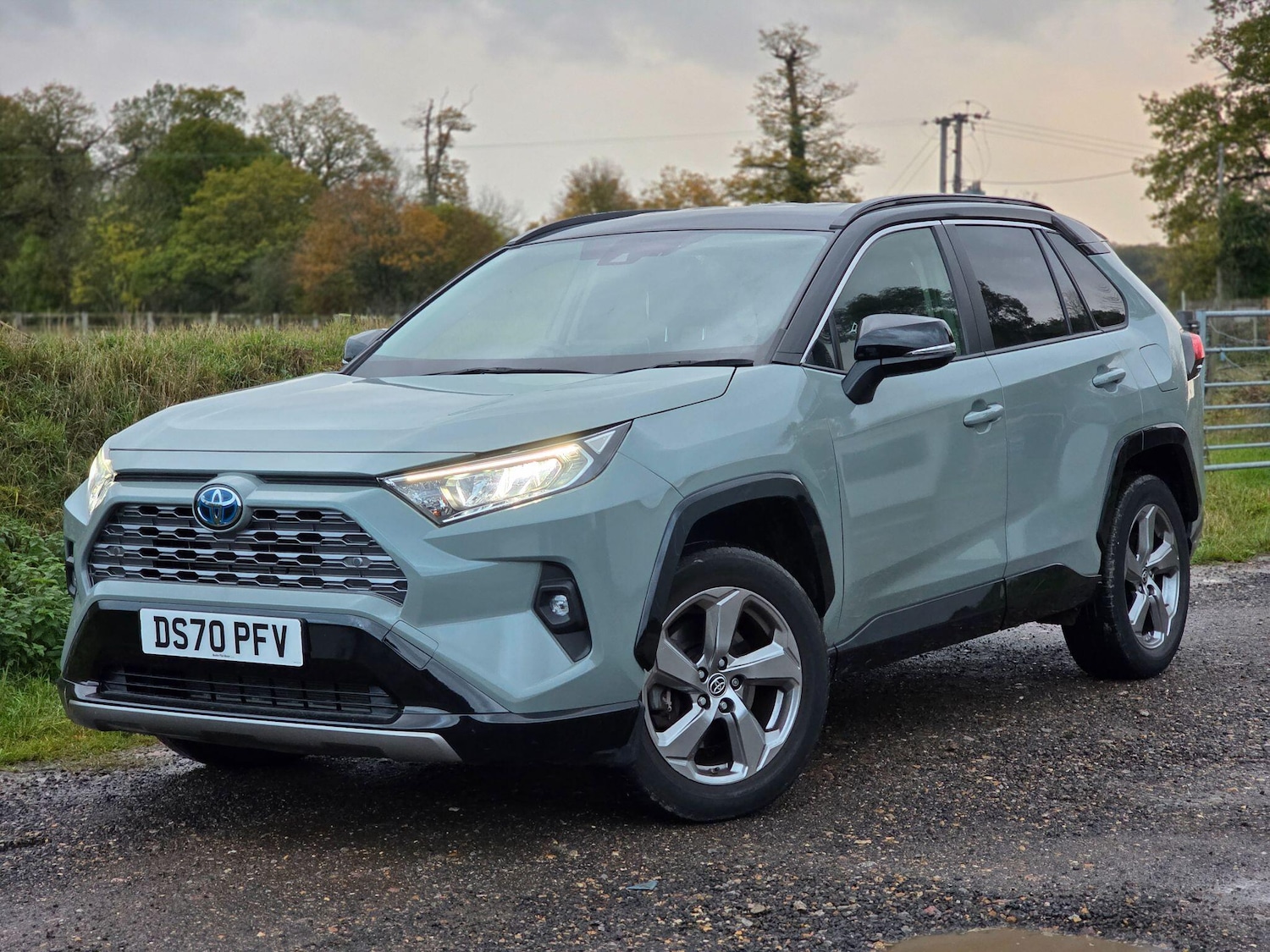 Used Toyota RAV4 2020 for sale - 77098001: Photo 2