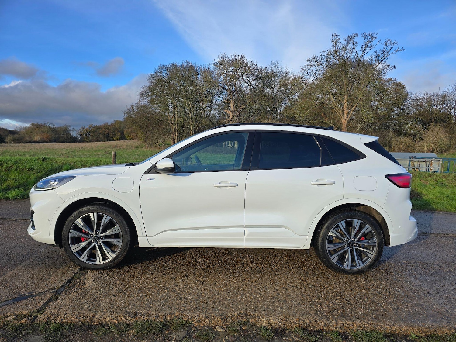 Used Ford Kuga 2023 for sale - 77097804: Photo 4