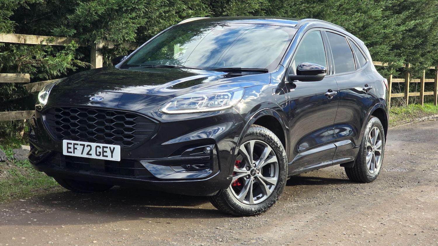 Used Ford Kuga for sale - 77705106: Photo 3