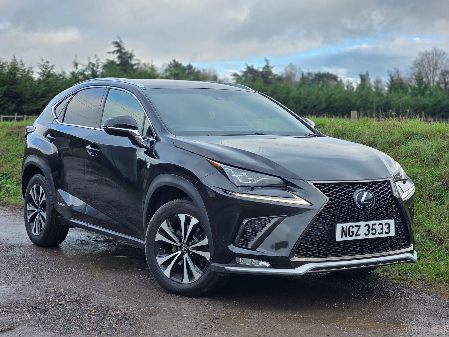 Used Lexus NX 2019 for sale - 76689995: Photo 1
