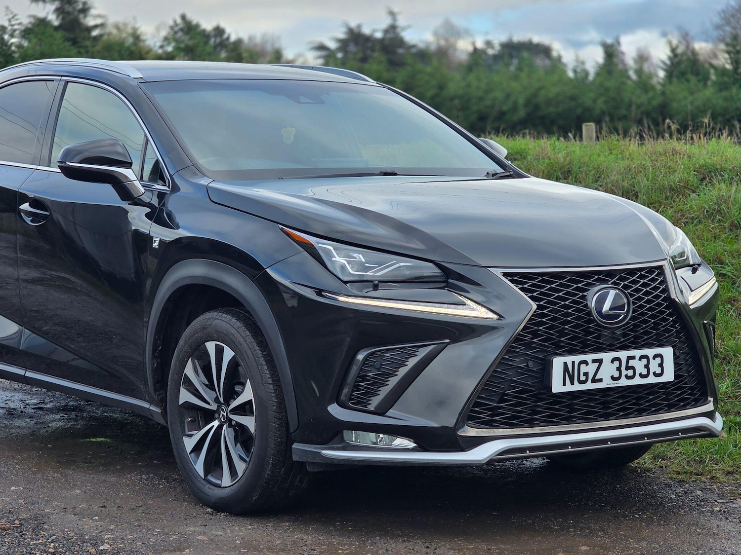 Used Lexus NX 2019 for sale - 76689995: Photo 11