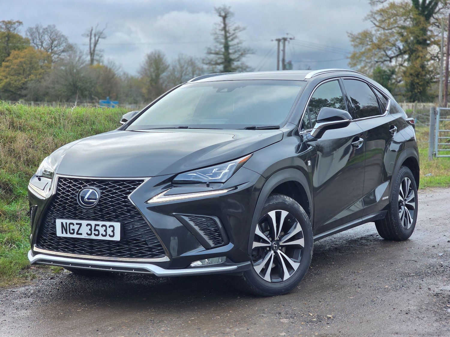 Used Lexus NX 2019 for sale - 76689995: Photo 2