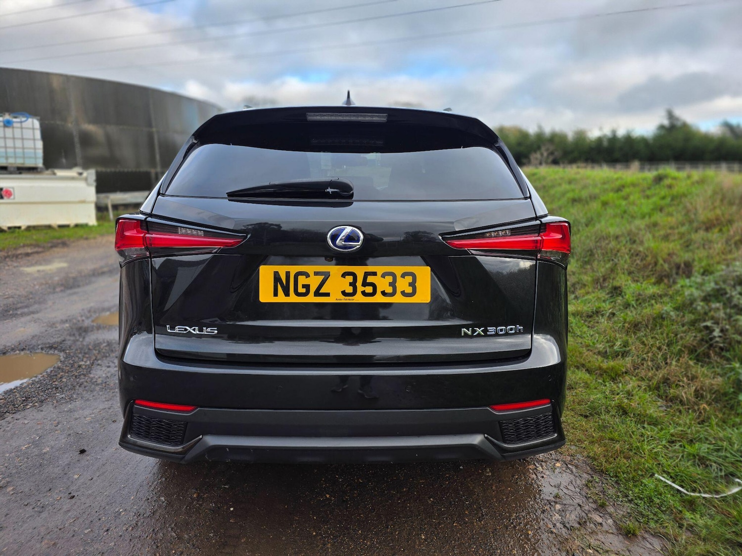 Used Lexus NX 2019 for sale - 76689995: Photo 20