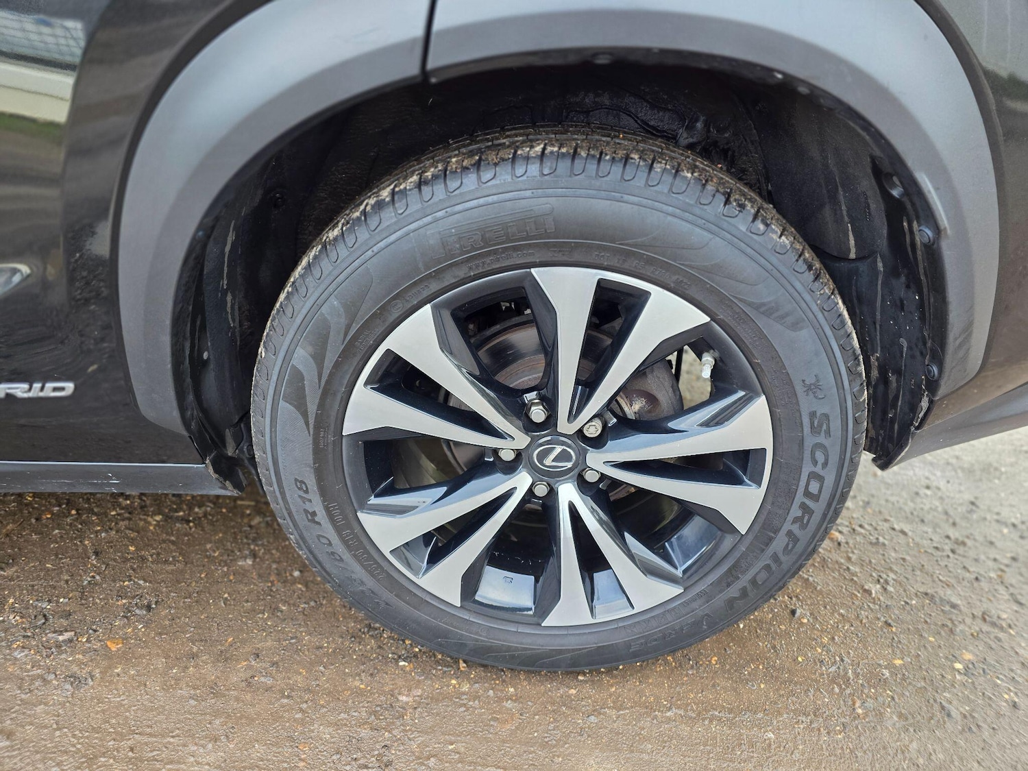 Used Lexus NX 2019 for sale - 76689995: Photo 23