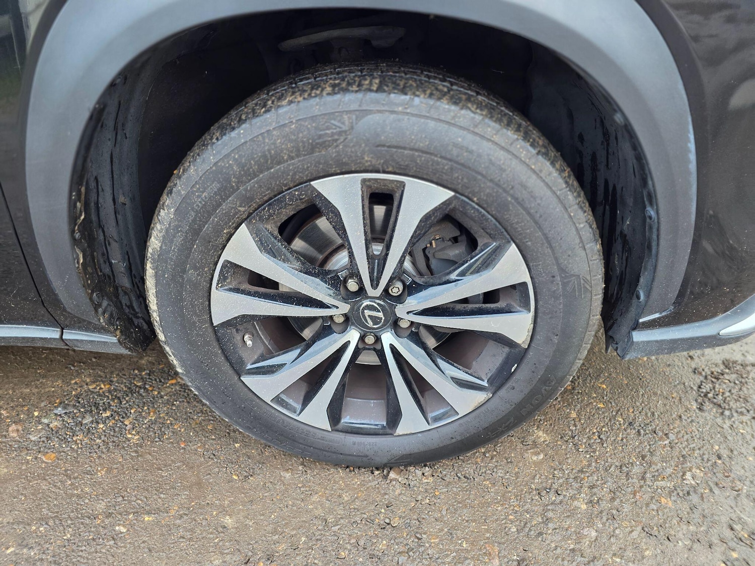 Used Lexus NX 2019 for sale - 76689995: Photo 25