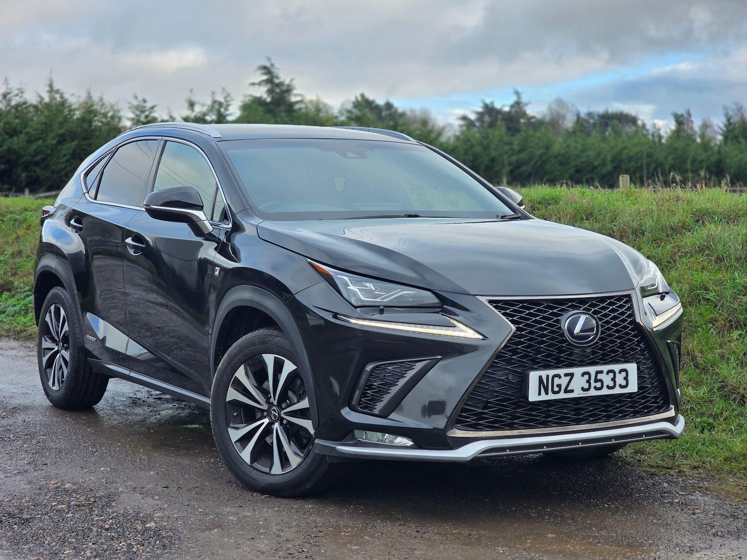 Used Lexus NX 2019 for sale - 76689995: Photo 31