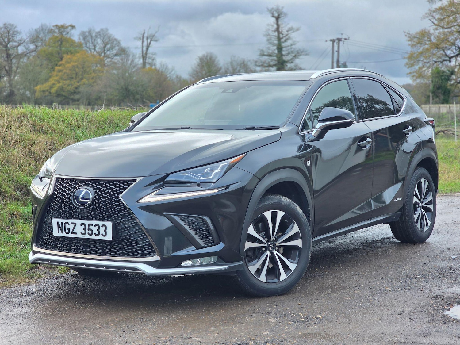 Used Lexus NX 2019 for sale - 76689995: Photo 32