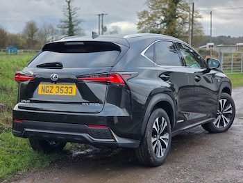 Used Lexus NX 2019 for sale - 76689995: Photo