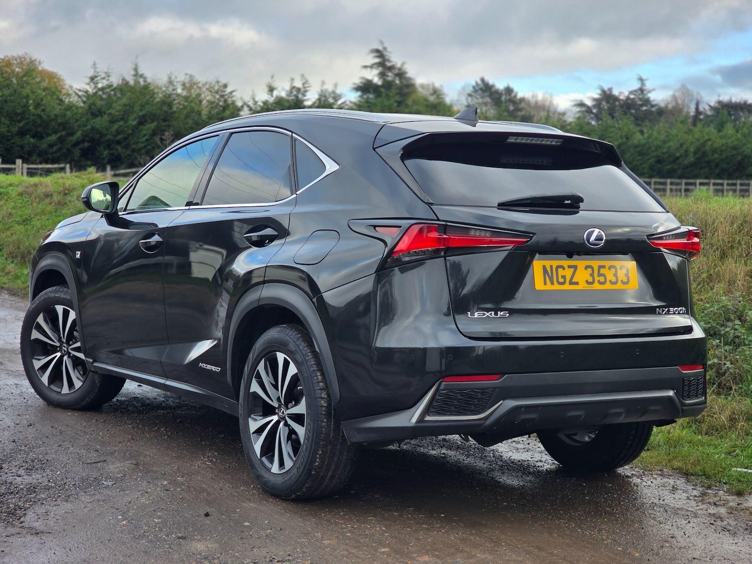 Used Lexus NX 2019 for sale - 76689995: Photo 4