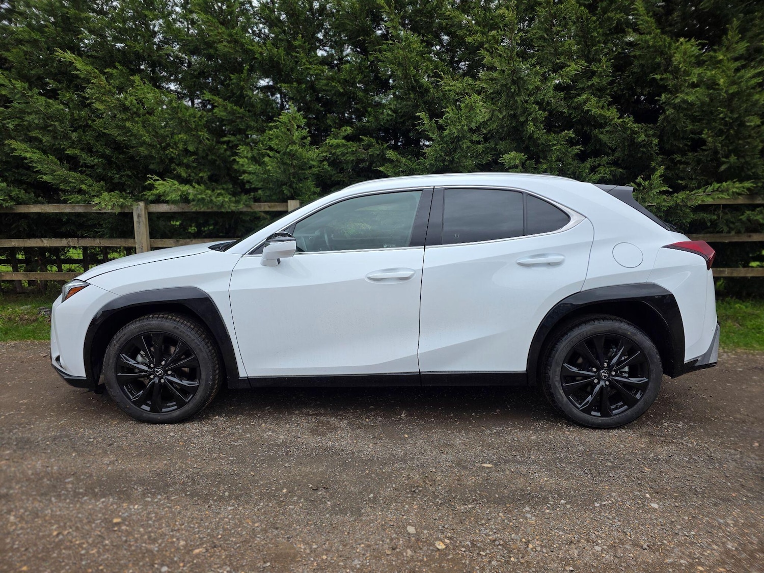 Used Lexus UX 2023 for sale - 77908559: Photo 10