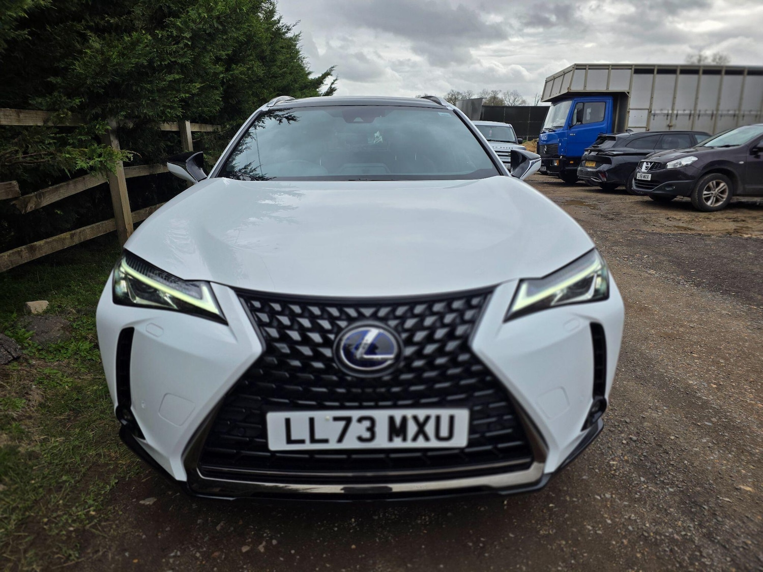 Used Lexus UX 2023 for sale - 77908559: Photo 20