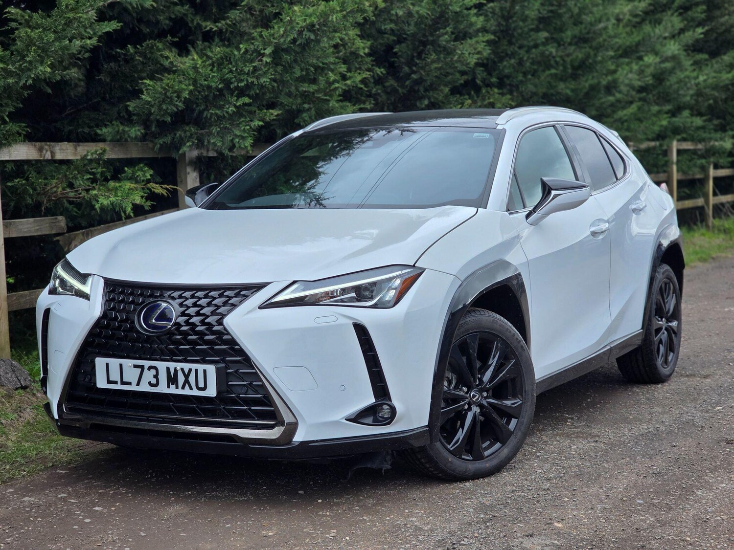 Used Lexus UX 2023 for sale - 77908559: Photo 28