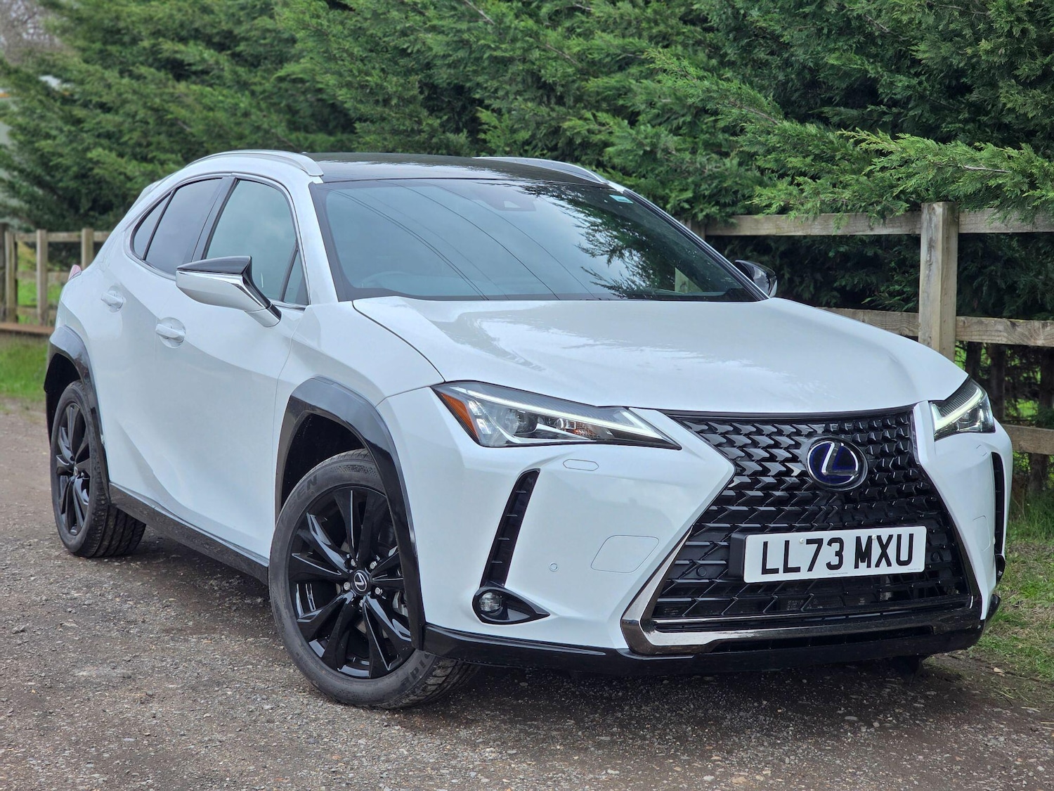 Used Lexus UX 2023 for sale - 77908559: Photo 29