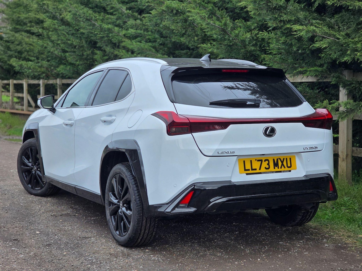 Used Lexus UX 2023 for sale - 77908559: Photo 4