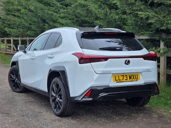 Used Lexus UX 2023 for sale - 77908559: Photo