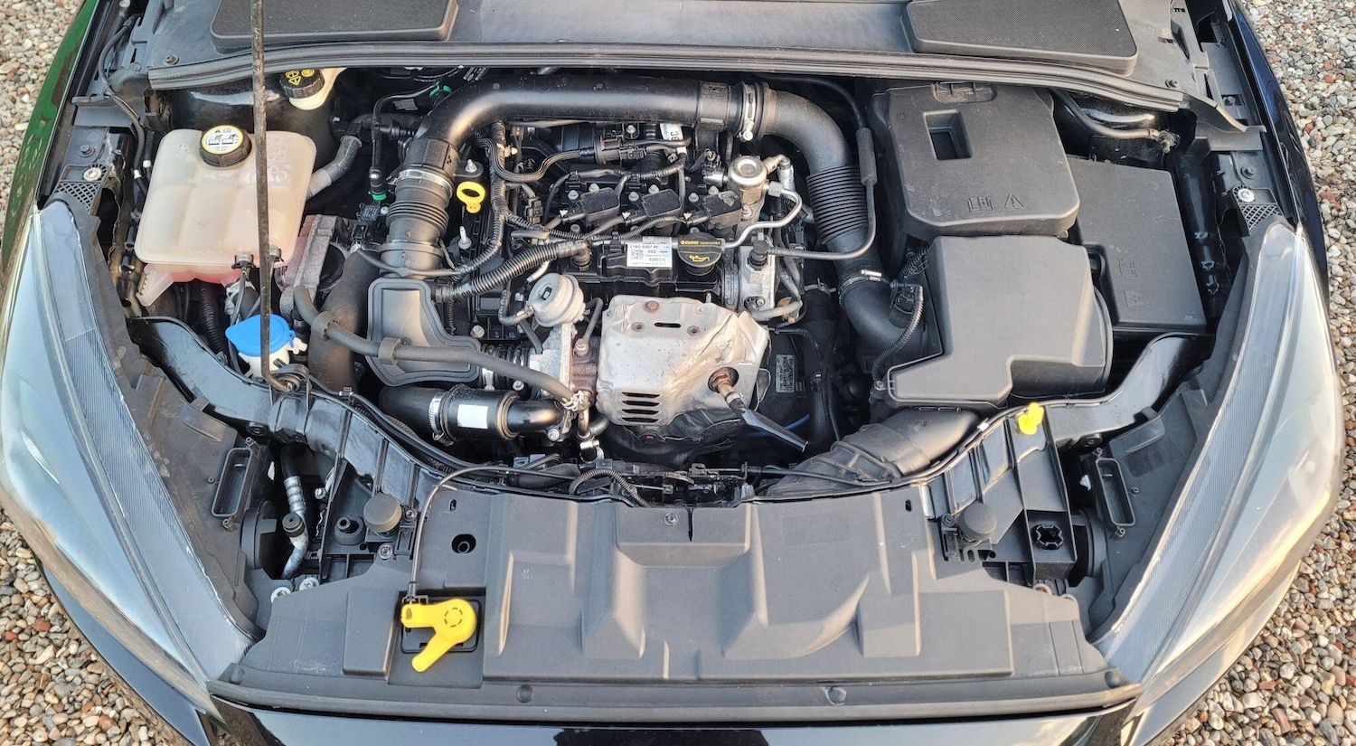 Used Ford Focus 2016 for sale - 76984702: Photo 26