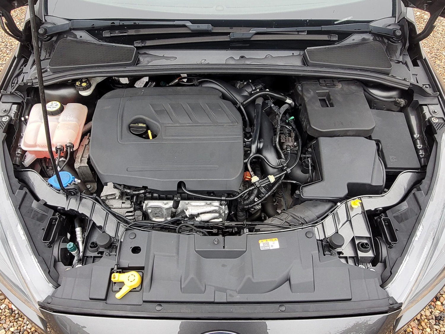 Used Ford Focus 2017 for sale - 76984720: Photo 59