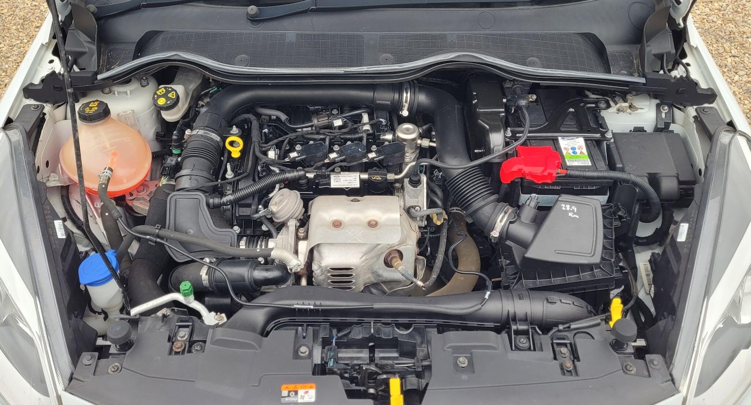 Used Ford Fiesta 2018 for sale - 78086768: Photo 21