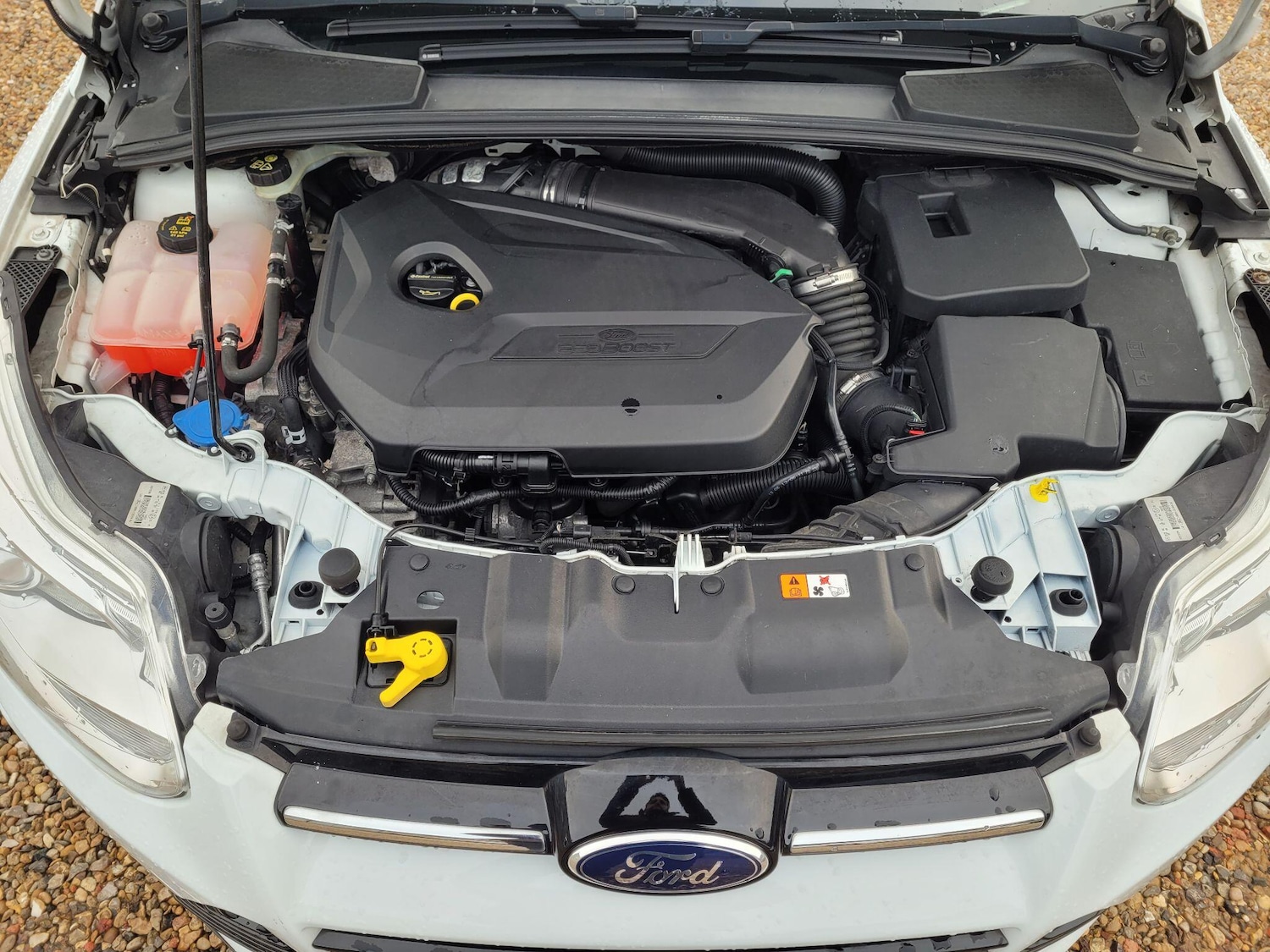 Used Ford Focus 2013 for sale - 77320748: Photo 63