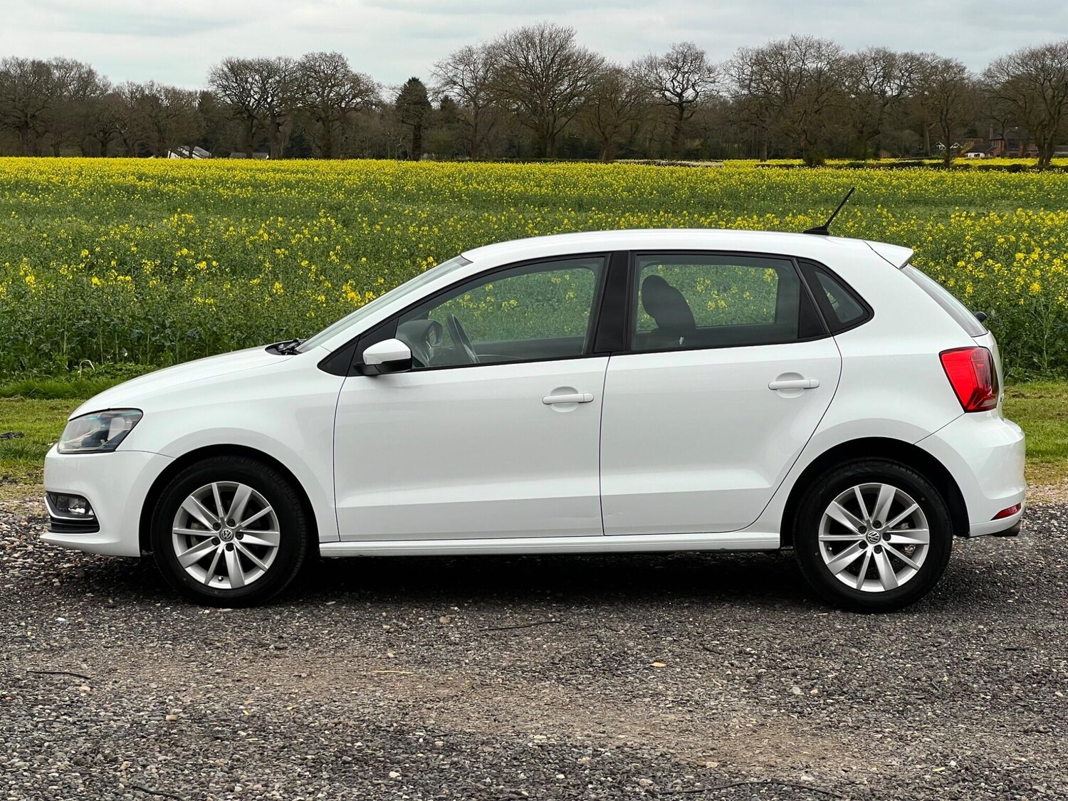 Used Volkswagen Polo 2026 for sale - 78106622: Photo 6