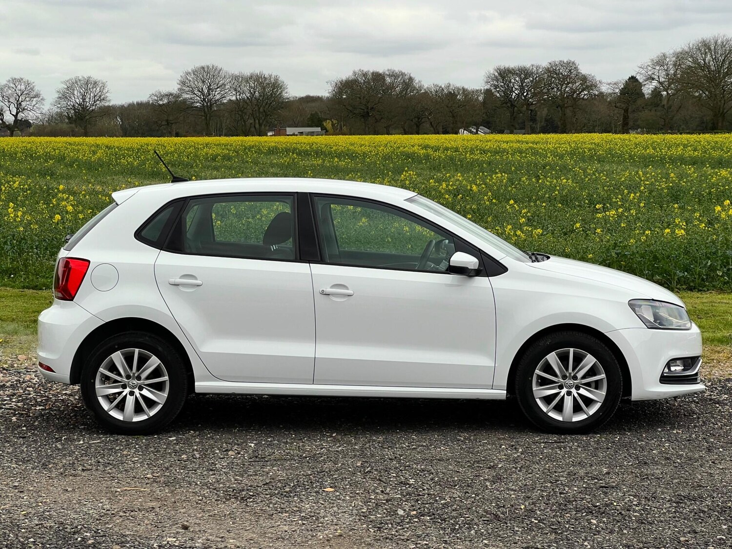 Used Volkswagen Polo 2026 for sale - 78106622: Photo 7