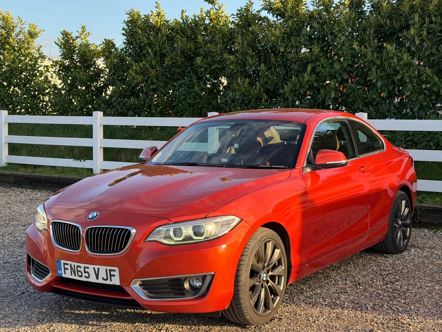 Used BMW 2 Series 2015 for sale - 77839699: Photo 7