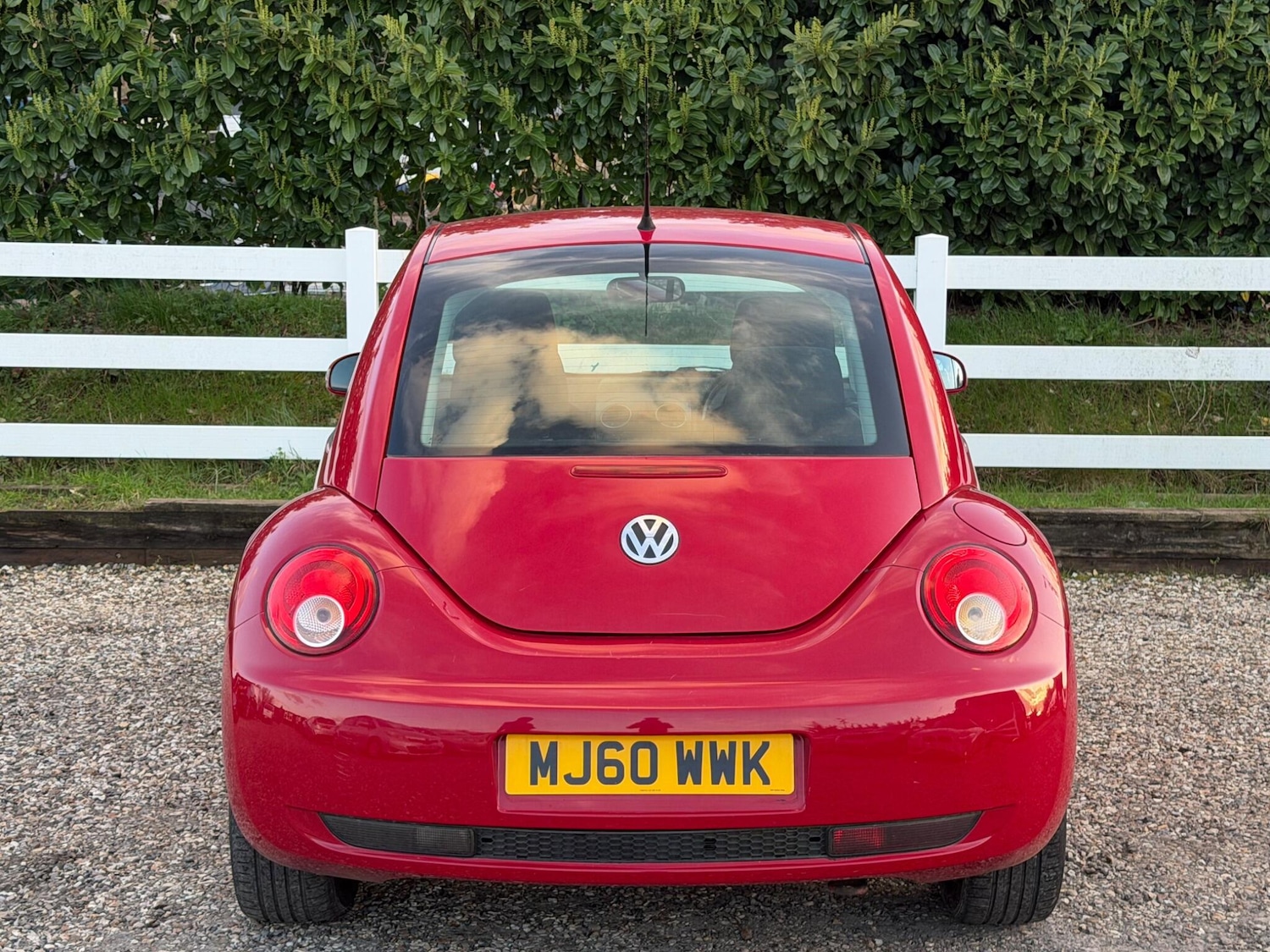 Used Volkswagen Beetle 2010 for sale - 77839259: Photo 11