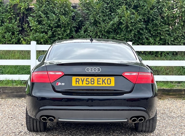 Used Audi S5 2025 for sale - 76151391: Photo 3