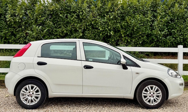 Used Fiat Punto 2017 for sale - 76259305: Photo 18