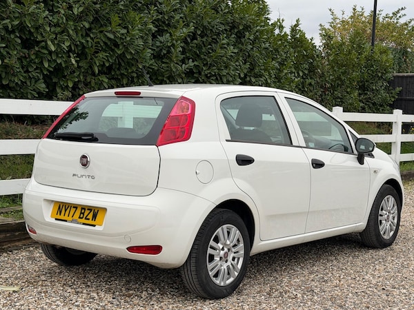 Used Fiat Punto 2017 for sale - 76259305: Photo 20