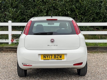 Used Fiat Punto 2017 for sale - 76259305: Photo 3