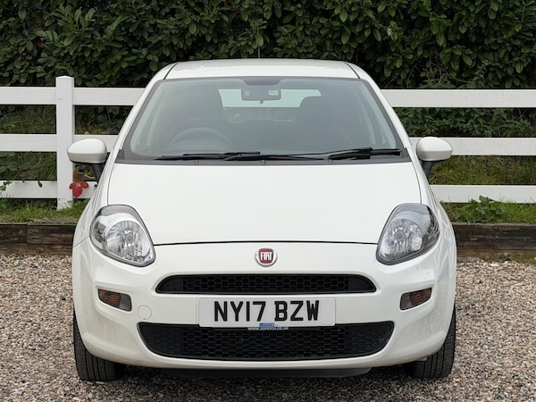 Used Fiat Punto 2017 for sale - 76259305: Photo 5