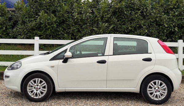 Used Fiat Punto 2017 for sale - 76259305: Photo 8
