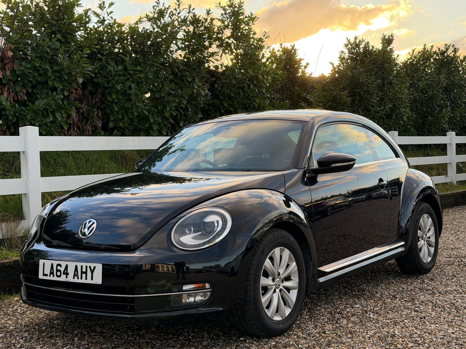 Used Volkswagen Beetle for sale - 77440613: Photo 3