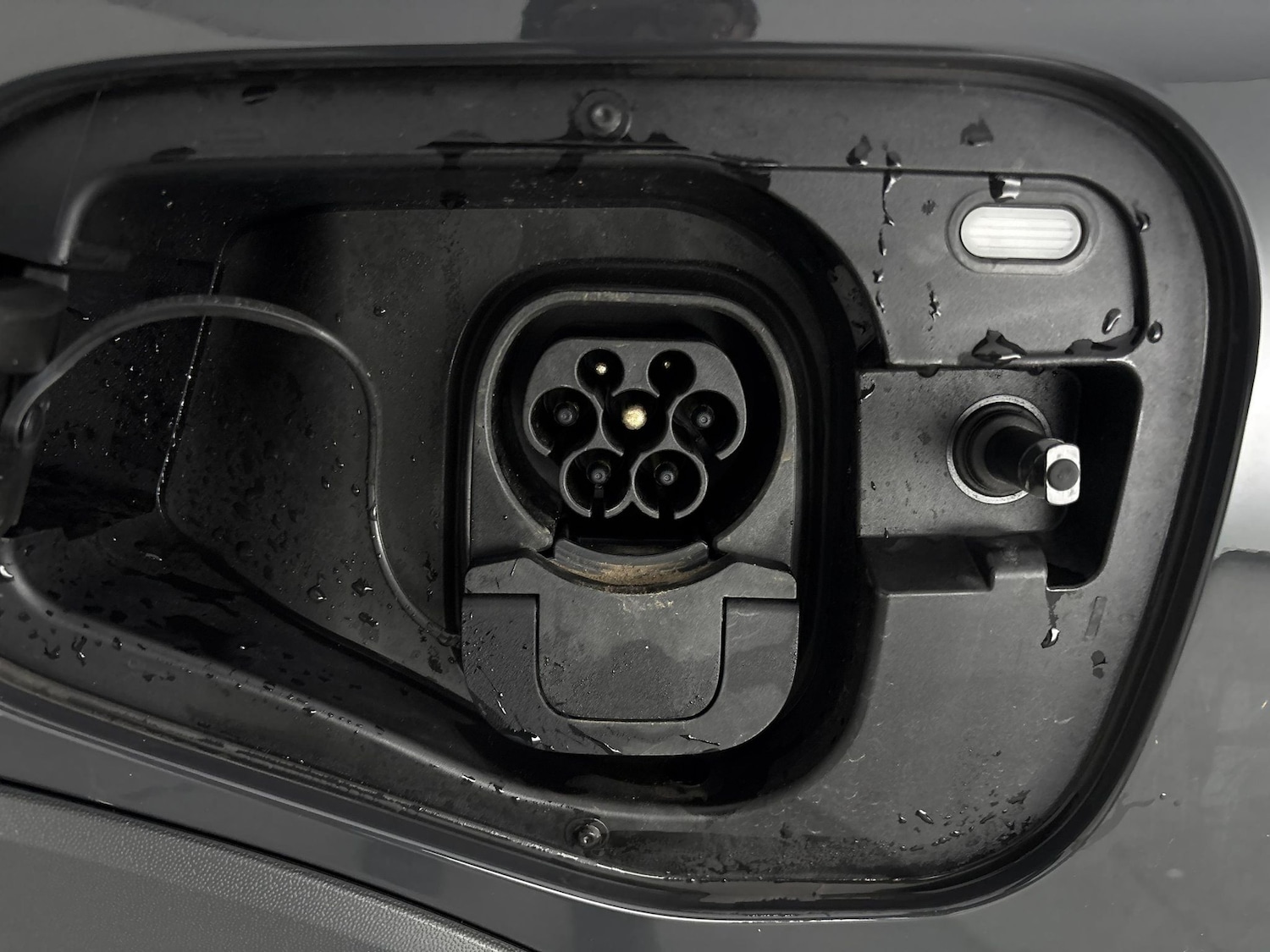 Used Volkswagen Tiguan 2025 for sale - 77274232: Photo 36