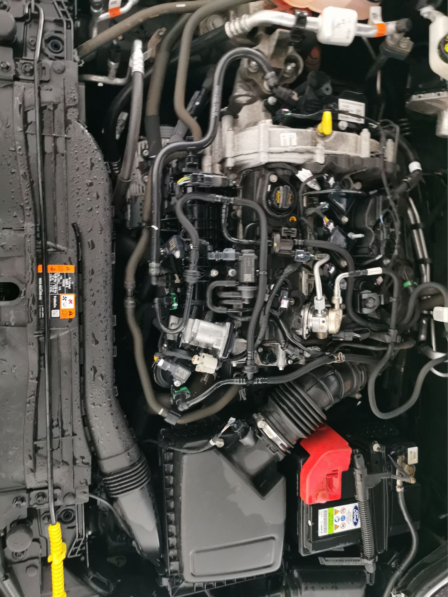 Used Ford Focus 2021 for sale - 77529914: Photo 34