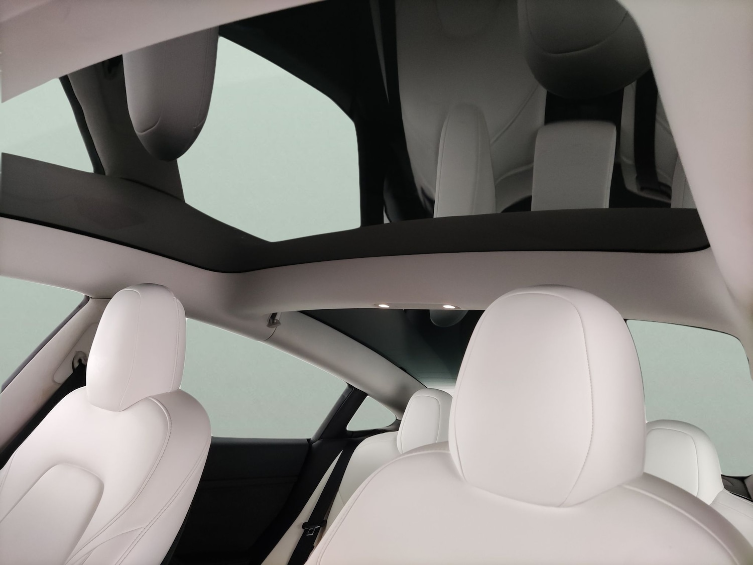 Used Tesla Model 3 2022 for sale - 78000955: Photo 5