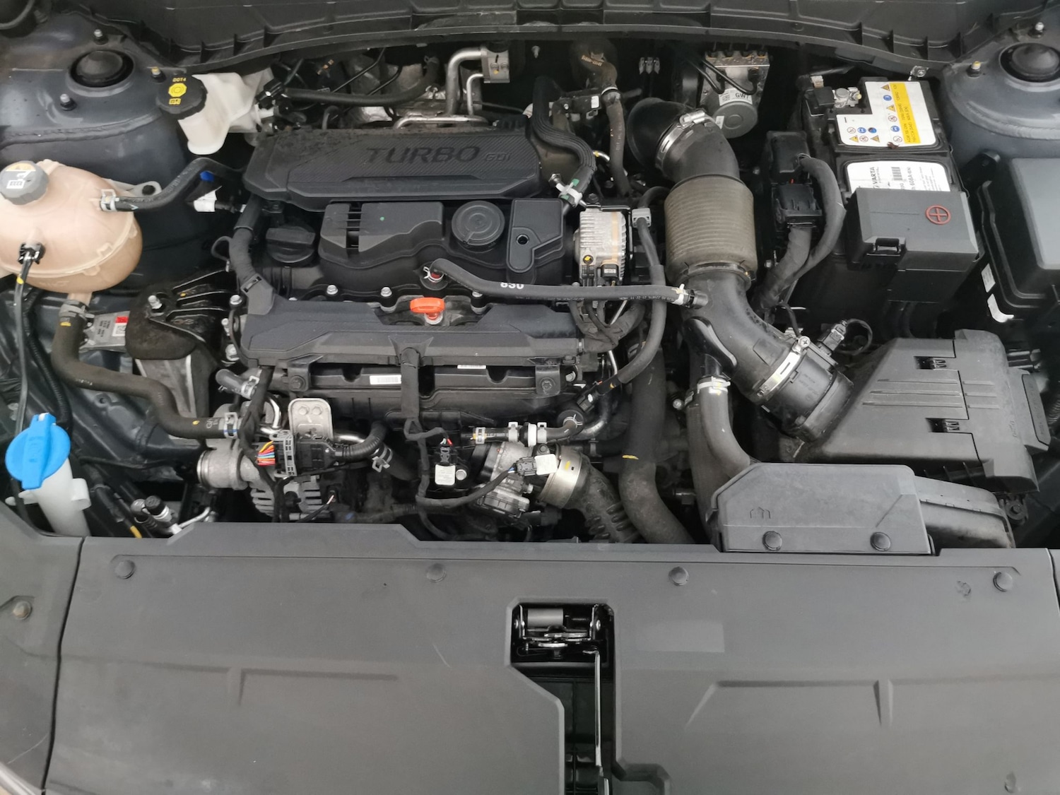 Used Hyundai TUCSON 2023 for sale - 77962923: Photo 30