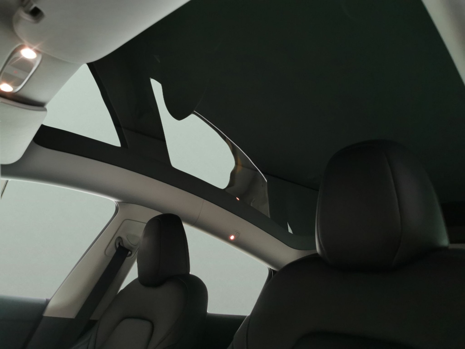 Used Tesla Model Y 2023 for sale - 77995496: Photo 5